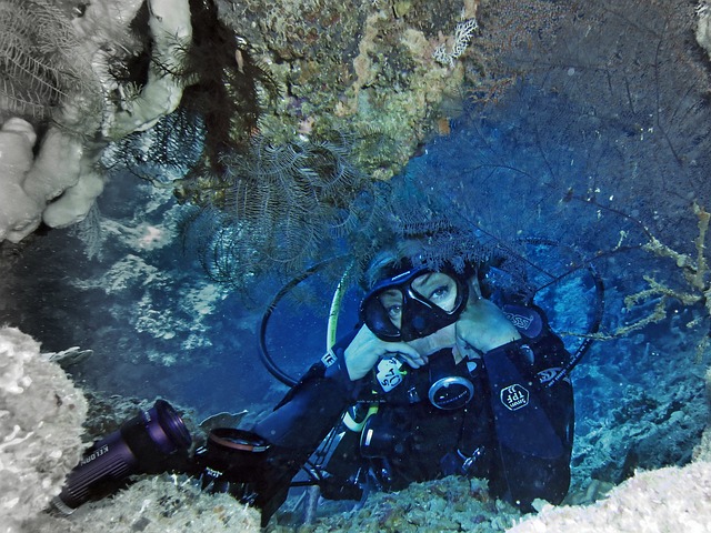 spot diving di pulau komodo